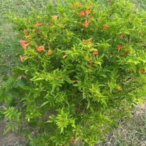 PHOTO-2022-08-11-15-34-21-1 PHOTO-2022-08-11-15-34-21-1